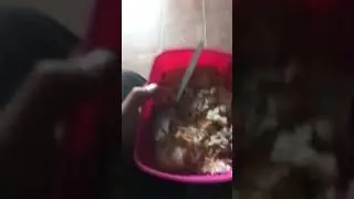 #eattogrow#nevergiveup