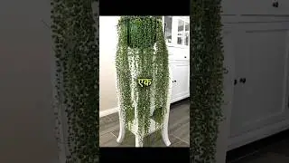 Low mentenece indoor plants list #garden #terracegardenindia #gardenflower #gardenplant