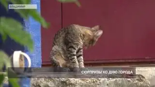 2016 09 15 HD Сюрпризы для владимирцев ко Дню города