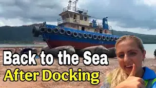 Back to the sea #tugboat#sealife#shipyard 