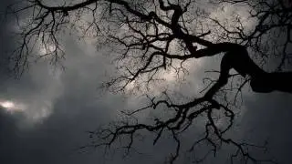 -Jour Noir- -L
