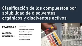 Clasificaci&oacute;n de los compuestos por solubilidad de disolventes org&aacute;nicos y disolventes activos. P II