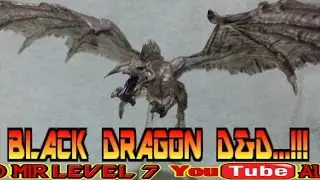BLACK DRAGON D&D ATTACK WING...!!! 5/6 #d&d #attackwing #blackdragon #miniaturesgames