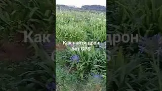 как найти дрон без GPS