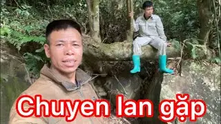 Làm lều trên rừng sâu kiếm thức ăn hoang dã