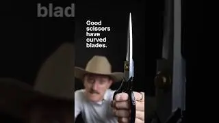 Good Scissors Have Curved Blades!