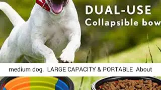 Pet Water Bottle for Dogs,Dog Travel Water Bottle