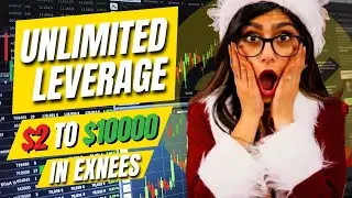 How to Access Exness Unlimited Leverage for Forex Trading with a Small Account