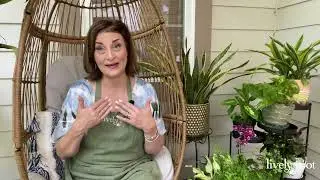 Essential Tools For the Garden by Plant Expert Miss Debbie