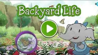 Elinor Wonders Why: BACKYARD LIFE | Fun PBS Kids Game for Ages 8 and Under!