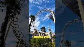COBRA VIBE | WALIBI BELGIUM (2025)