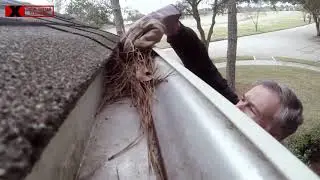 Gutter Cleaner in Arvada CO