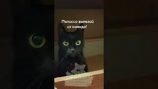 не буду! #гамбол #ричард #warmy #варми #мелисса #cat #gacha #мем #котики #прикол #юмор #гача #meme