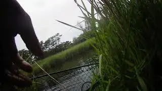Fly Fishing For Sea Trout - River Dysynni