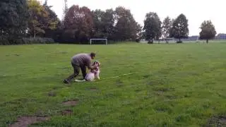 Choco Apportiertraining