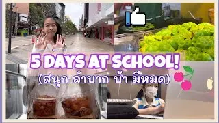 EP.4 [VLOG] ✨🙋‍♀️5 days at The Newton Sixth Form School! 🥤(สนุก ลำบาก บ้า มีหมด)🧸💟✏️🥹🫶 I Iris Patcha