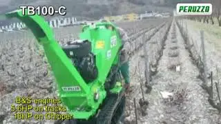TB100-C cippatore con cingoli per Vigneto Peruzzo