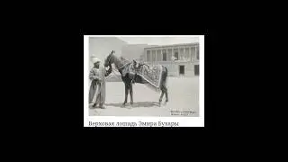ЛИЦА ЭПОХИ/Davr Simolari/ #bukhara #history #uzbekistan #memes #metaai