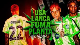 BROTA NO BAILE DO PANTA USA LAN&Ccedil;A FUMA PLANTA - ORUAM (Web Clipe) Marquinho no Beat