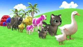 Long Slide Game With Cow Elephant Gorilla Hippopotamus Tiger 3d Animal Game Funny 3d Animals