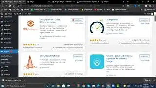 How to optimize WordPress website