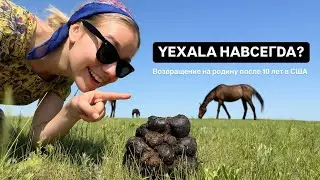 Почему меня задержали на границе России после 10 лет в США. Возвращение на родину.