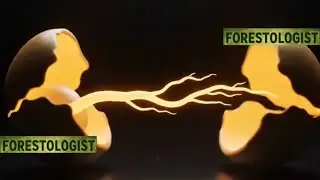 वनों का विनाश | Forest & Deforestation Explained in Hindi | पर्यावरण बचाओ #forest #facts 
