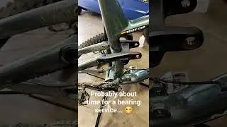 How to tell when your frame bearings need some love...