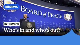 Western allies and the Pope decline Donald Trump&rsquo;s 'Board of Peace' | ABC NEWS
