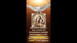 Никогда не говори 