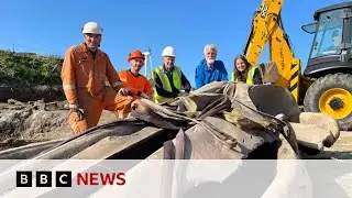 Ten-hour mission to excavate huge whale head in Cornwall, UK | BBC News