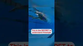 The secret to understand freestyle!! The  PULL!! #sports