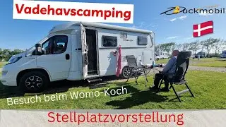 Von Camper für Camper ○ Wohnmobilstellplatz Vadehavscamping in Højer/Tondern  - Dänemarks Westküste