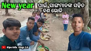 New year  ପାଇଁ  ସାଙ୍ଗମାନଙ୍କ ସହିତ ବଣ ଭୋଜି ll #odiavlogs#ripuodiavlogs2.0