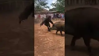 Bigfoot Village Battles 👣🔥 | Real-Time Epic Fights