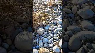 Finding Agate