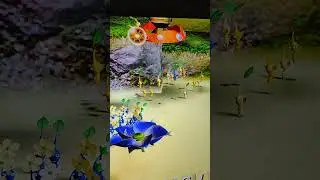 Item Bug