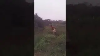 2018Kerala Funny videos