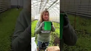 Такой грунт - ИДЕАЛЬНЫЙ!