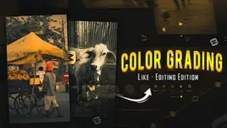Color Grading Like EDITING EDITION in CapCut | Cinematic Yellow Tone Look | Full Tutorial