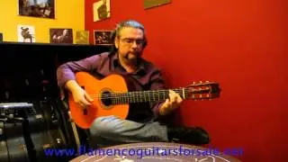 Juan Ramon Caro plays the Pedro de Miguel 2007 flamenco guitar for sale