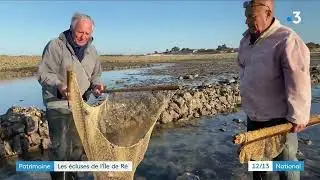 Ecluses à poissons de l'Île de Ré