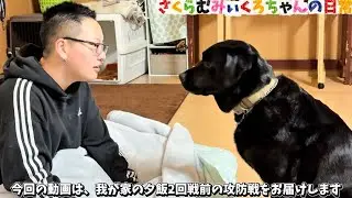 ご飯食べたい！食べたい！闘いの結果は。。。