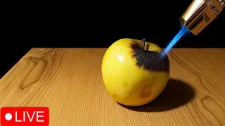 50 Experiment Fire vs object