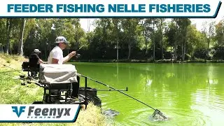 Feeder Fishing nelle Fisheries by FEENYX