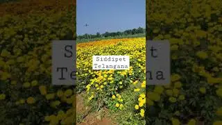 Siddipet