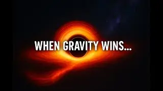 Inside the Birth of a Black hole From Star to Singularity