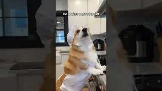 My dog makes cookies and bacon!
