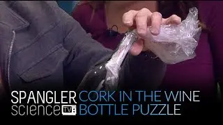 Cork in the Wine Bottle Puzzle