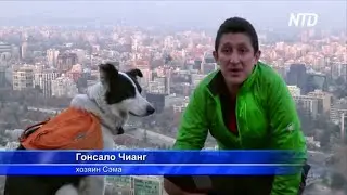 SambombazoProject - Plogging y ll&eacute;vate tu basura en NTD Rusia